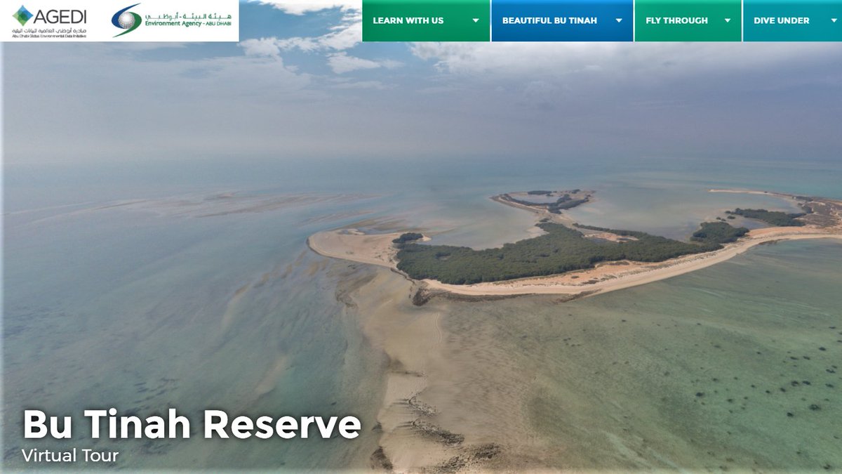 AGEDITweets's tweet photo. We are happy to announce the upcoming release of our 360 #terrestrial and #underwater Virtual Tour of Bu Tinah Island, one of the most pristine and undisturbed nature reserves in #AbuDhabi! Stay tuned! #BuTinah #virtualtour https://t.co/i5aRaSi3Zh