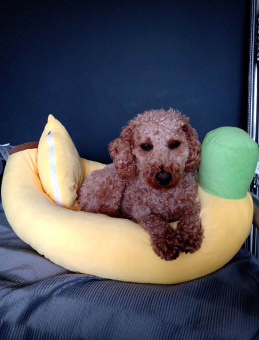 Amy Rubens tweet media