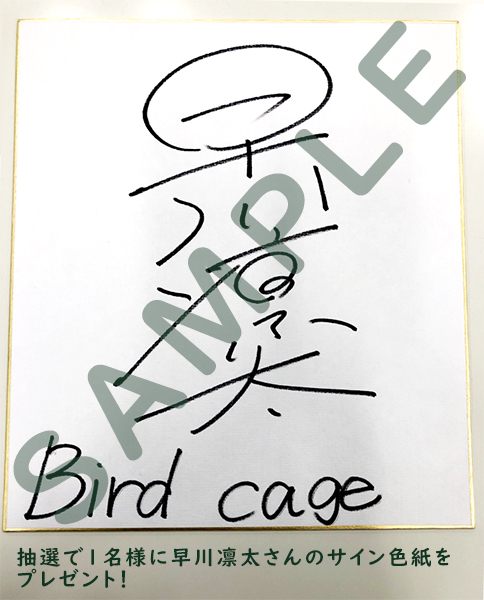 Hobigirls ホビガールズ 色紙キャンペーン開催 Hbg限定盤 Birdcage Relief Cv 早川凛太 Hbg限定盤には特典cdが付属しております さらに 10 29までにご予約いただいた方の中から抽選で1名様に 早川凛太さん直筆サイン色紙 をプレゼント