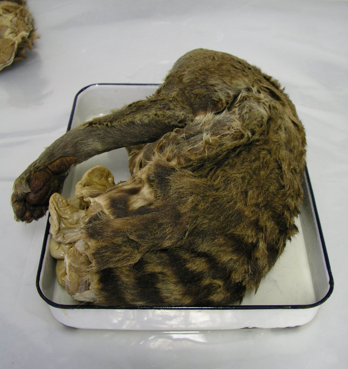 Jack Ashby tweet media