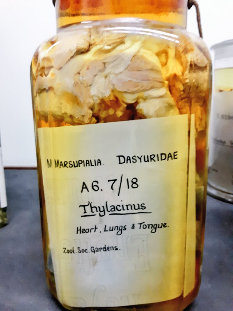 Jack Ashby tweet media