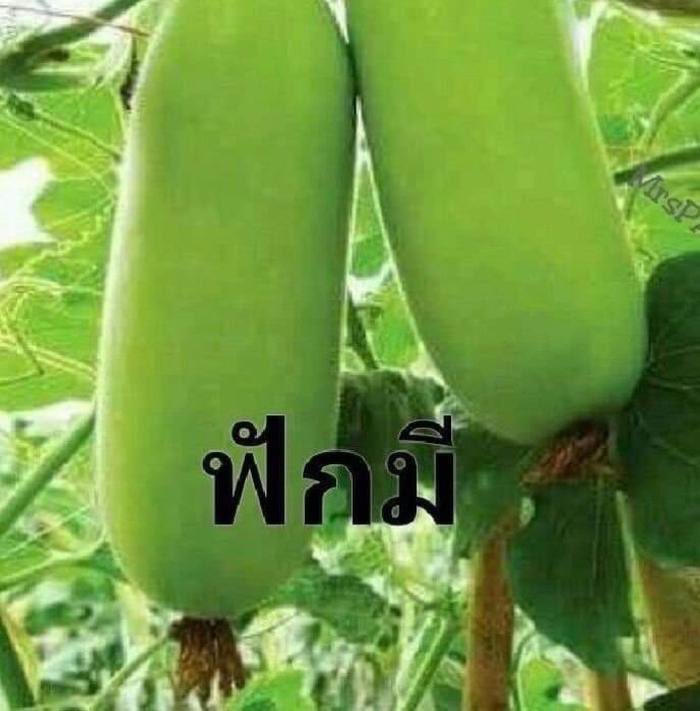 ᴀᴄᴇ tweet media