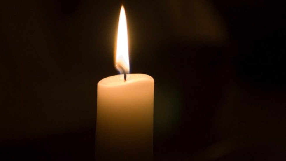 MoDo Hockey tweet media