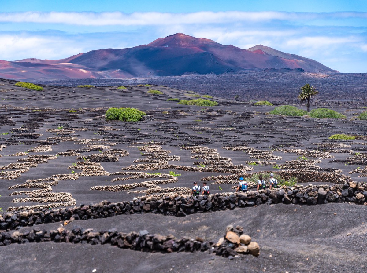 TurismoLZT's tweet photo. You can feel the energy of the volcanoes in every corner of the island 🌋

#LoveLanzarote #LatitudeOfLife #VisitSpain https://t.co/NTMMLjOPkJ