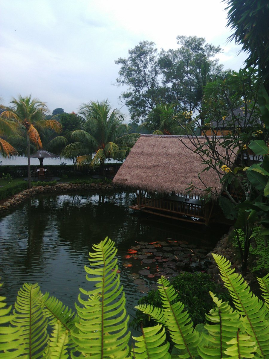 gubugudang's tweet photo. Best view Gubug Udang #KulinerNusantara #makanansehat https://t.co/CjWXNZ31Db