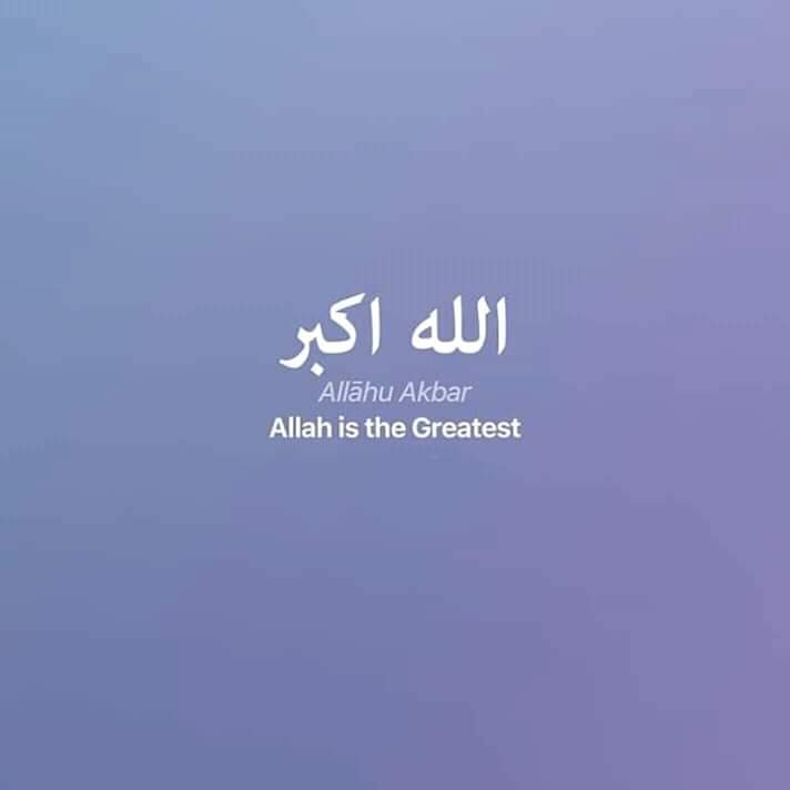 md_olaaaa's tweet photo. ⁦❤️⁩⁦❤️⁩ https://t.co/xcadPejR6D
