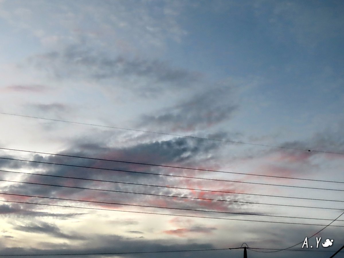 yumeasutw's tweet photo. ほんの少し
真っ赤に焼けました🌆

お疲れ様です🏁
生暖かい南風が吹き抜ける夕暮れ。
��雲が棚引く怪しげな夕空。
所々、少しずつですが真っ赤な夕焼けが見られました♥️

#いまそら #イマソラ
#夕空 #夕焼け #鉄塔 #電線 #電柱
#空の名前
#雲の教室
#マジックアワー
#a2020 #a0907 #a202009 #a2020092 https://t.co/bBG18kBS2L