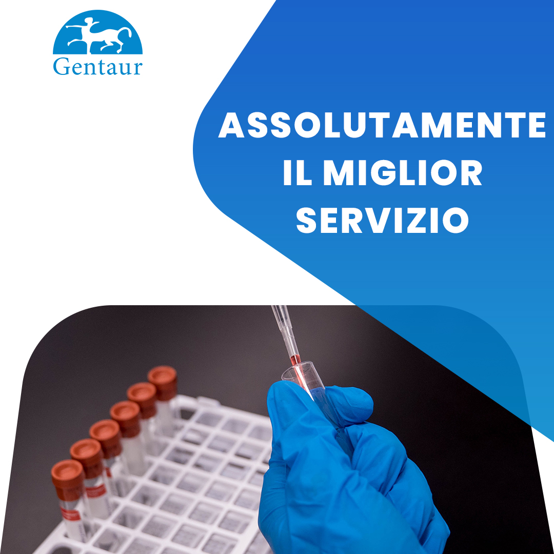 GentaurItalia's tweet photo. Hai bisogno di qualcosa per il laboratorio? #biologiamolecolare #laboratorio #immunologylab #laboratorylife #laboratorylife #gentauritalia #proteine #PCR #ELISAkit #anticorpi https://t.co/YNMPKRY6v2