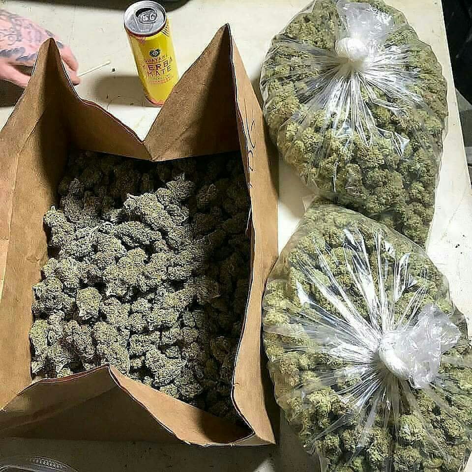 macbeuh's tweet photo. Verte🍃jaune🌻marron🏵️Coke🦂MDR💊Crack💎dispo
🔥Snap👻:  jamal_kdusal421

#weed #shit #beuh #cannabis #marijuana #rasta_bot #Perpignan #BoulogneBillancourt #Orléans #Loiret #Metz #Moselle #Besançon #Doubs #BourgogneFrancheComté #SaintDenis #SeineSaintDenis https://t.co/ZyfeS8feIM