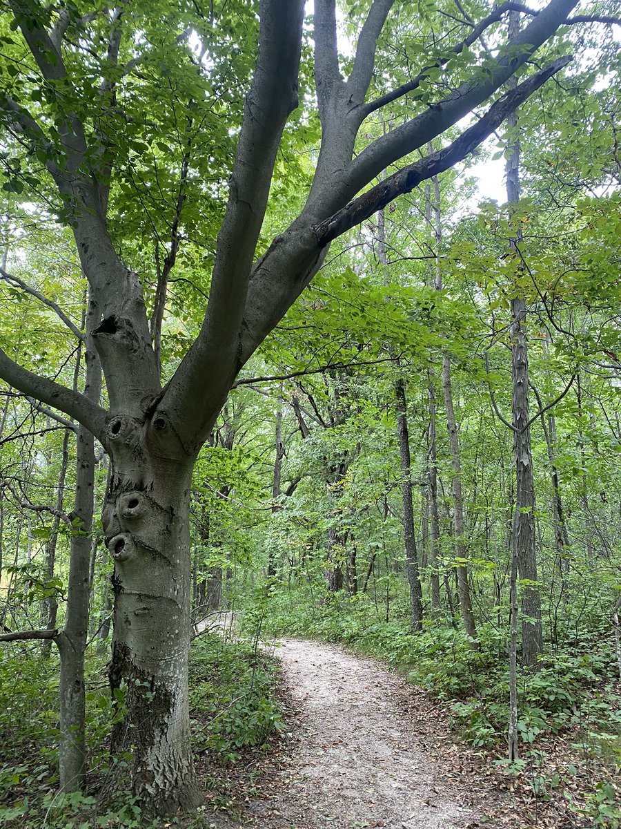 forgottentraits's tweet photo. Get out and enjoy the free things around you, instead of becoming consumed with the nothingness that sucks you in. #timeisprecious #MondayMorning #LaborDayOn https://t.co/GjkrCVPHoc