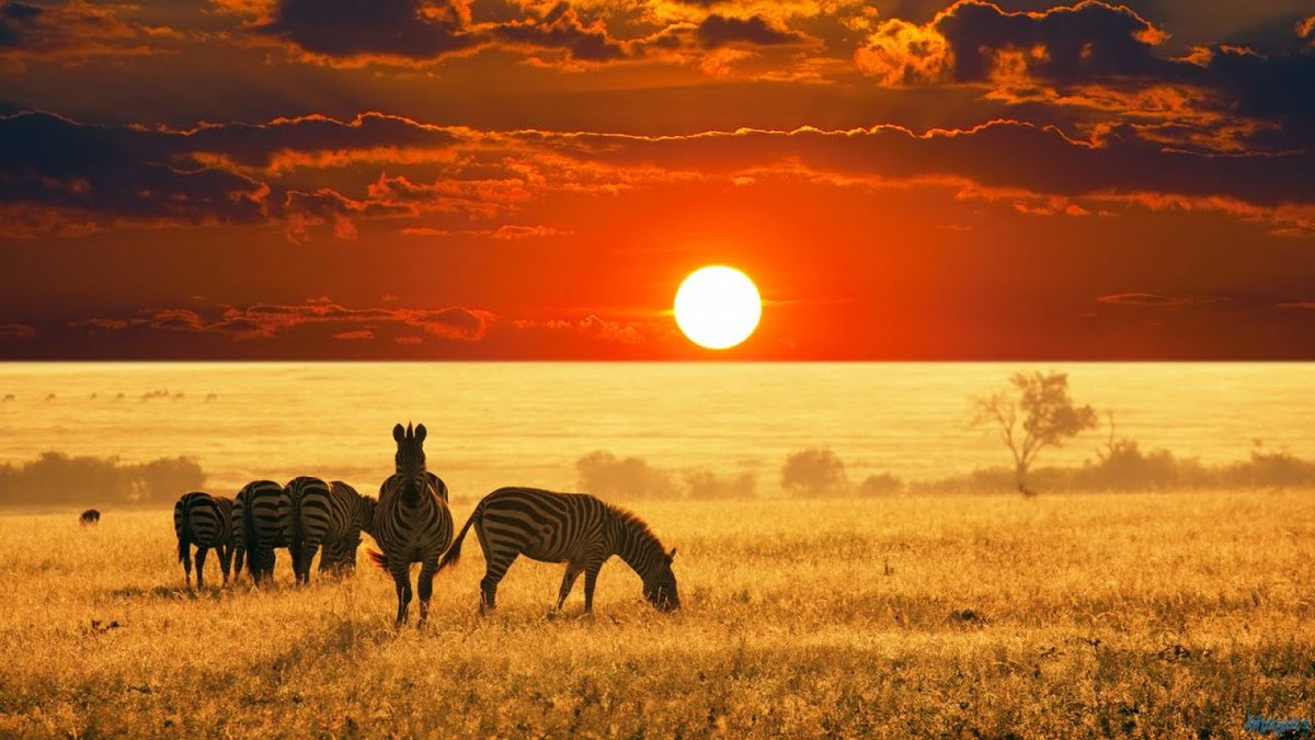 Galorbi's tweet photo. As the coronavirus pandemic impacts our globe, Galorbi and its companies  are working to ensure our customers needs continue to be met while we do our part to help mitigate this serious issue. 

Gilberto de Matos
Galorbi CEO https://t.co/9gXTEOUvAc