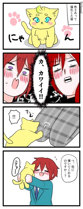 司宙ちゃんと夏目くん
〜猫編〜 