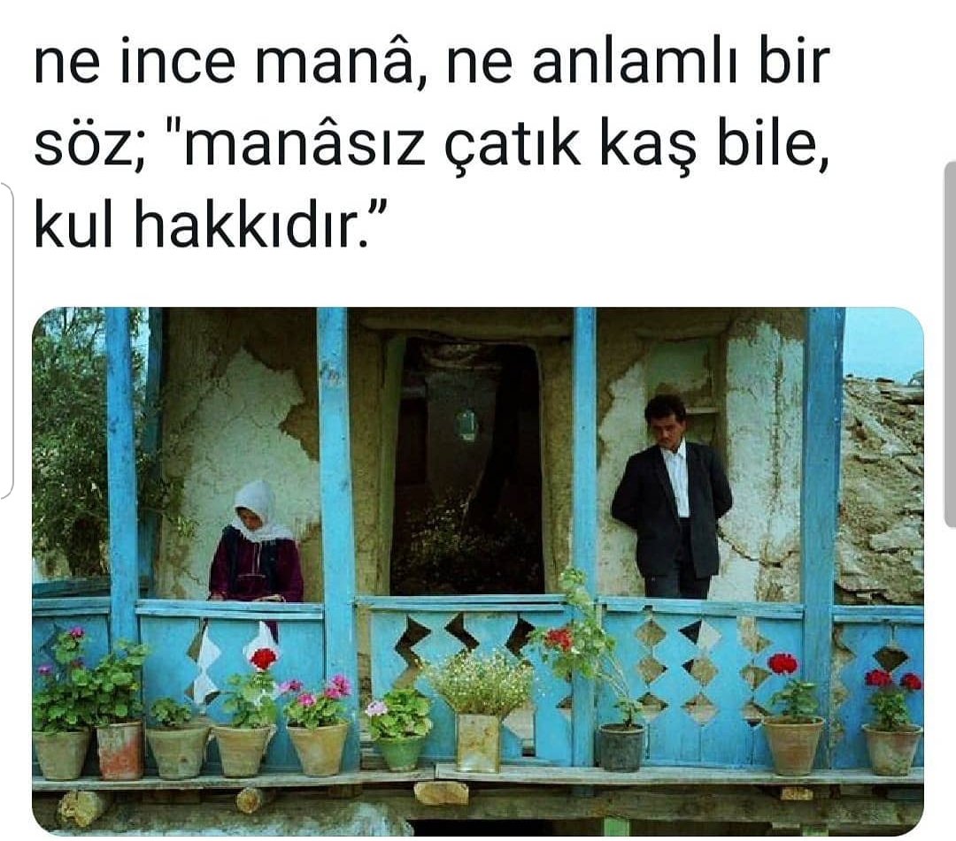 serap_tuncay's tweet photo. https://t.co/aCP0hU6UrE