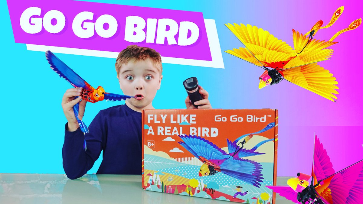 ZacharyToysFun's tweet photo. (AD)RC Remote Control Bird. This is the first look at this RC bird which flies like a real bird by flapping its wings. Video link is https://t.co/ToCFdvMbSV

You can discover more about the product via (https://t.co/bvUiKkT4d6) 

#gogobird #rcbird #rctoys #rcflying #drone #gifted https://t.co/Se2Abj0kKr