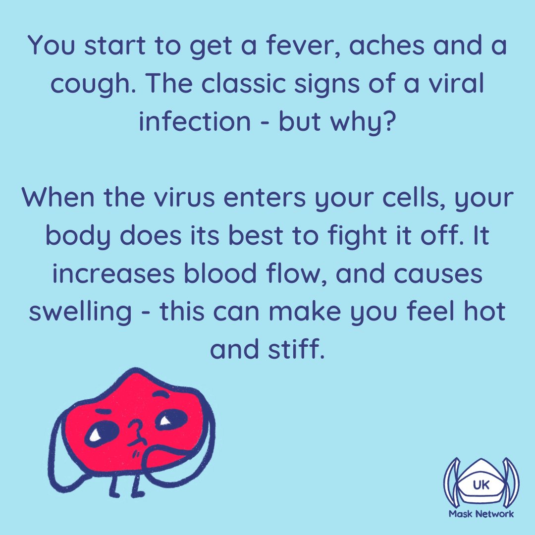 UK Mask Network tweet media