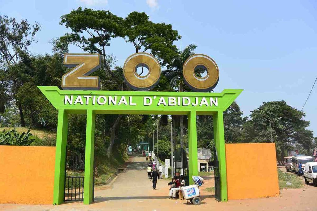 Lemediaivoirien's tweet photo. 🔴Le Zoo renvoie un employé 
Un soigneur du Zoo d'Abidjan depuis 9 ans a été licencié pour avoir dénoncé  « publiquement les conditions de vie des animaux », informe Rfi ce lundi 7 septembre. Le Zoo garde le silence. L'employé portera l’affaire au Tribunal, informe la même source https://t.co/XMtVBCK3Wq