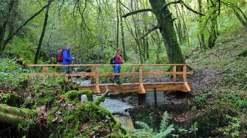 ULGlobal's tweet photo. Walking is by far the best way to safely enjoy all that Limerick has to offer. We have a huge listing of walking routes across Limerick city and county so you’re sure to find new trails and places to go!

@Limerick_ie 

https://t.co/rnX2Bpf4a8

#ULGlobal #Walkingroutes https://t.co/ZV7FBygtOf