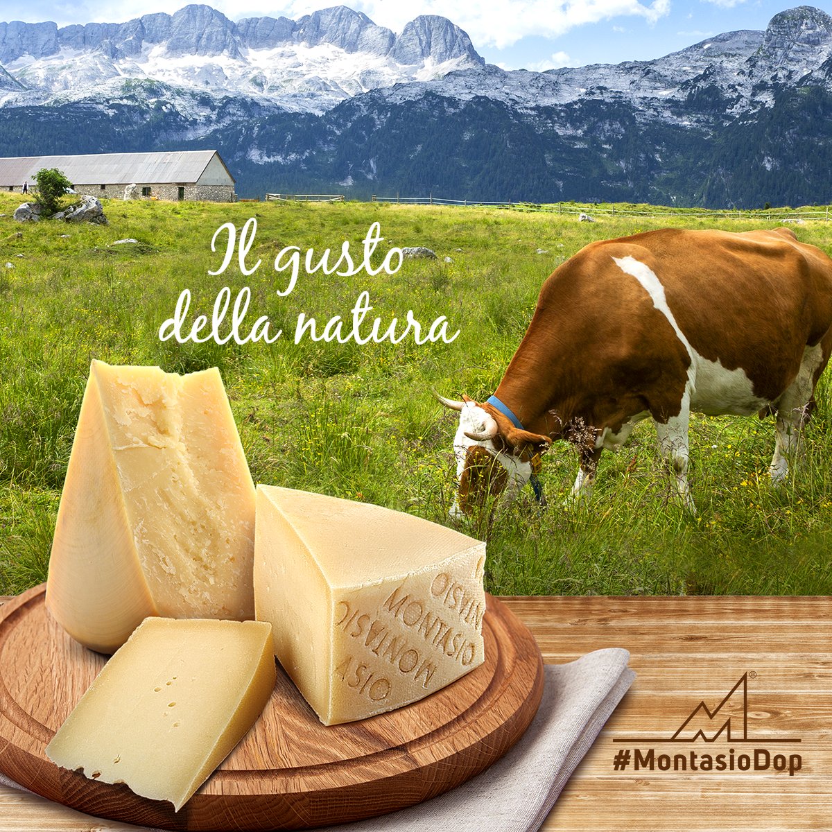 La bellezza della natura si rispecchia nella genuinità dei prodotti locali, indissolubilmente legati alle caratteristiche del territorio. Come il Formaggio Montasio, che vede una zona di produzione così definita: bit.ly/2Zehxdi
#MontasioDop #IoComproItaliano