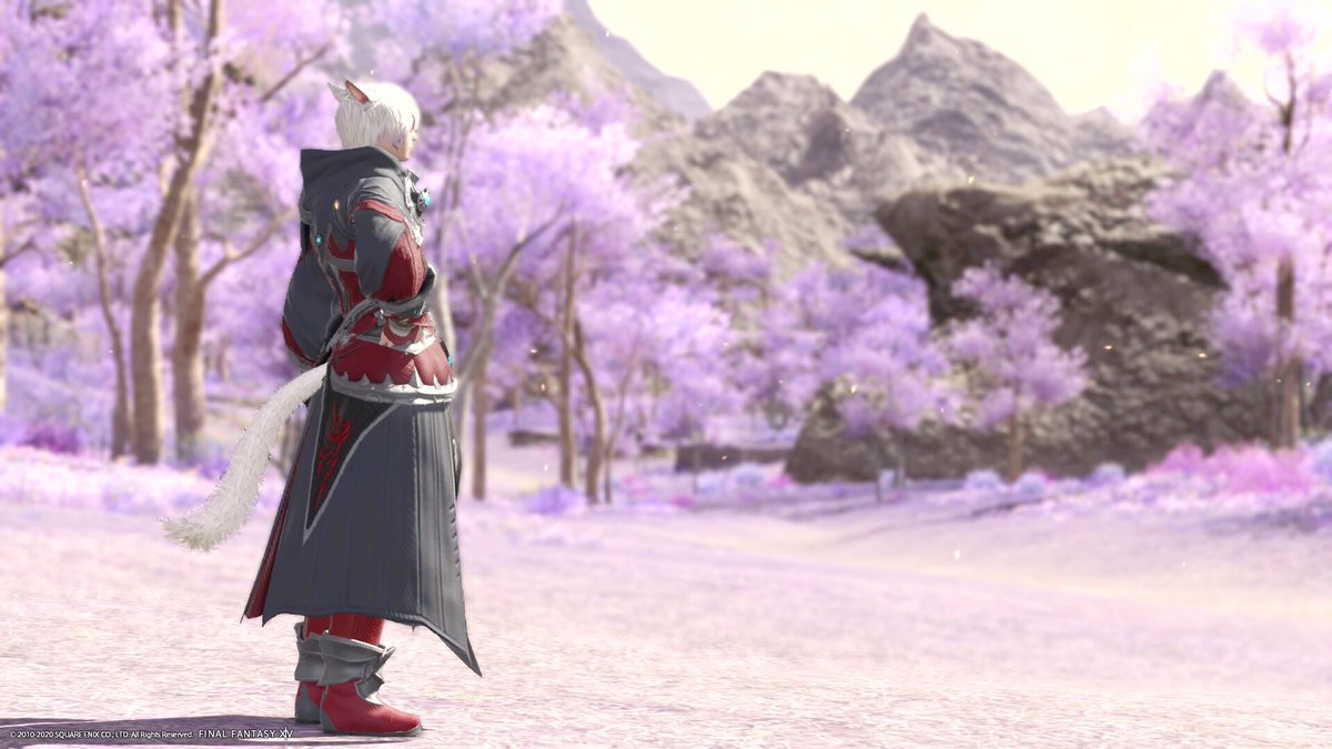 ohnet_sayre's tweet photo. 第一世界へ…φ(・ω・*)
#FF14 #ミコッテ #Oracle_ss https://t.co/FW2WOa89OU