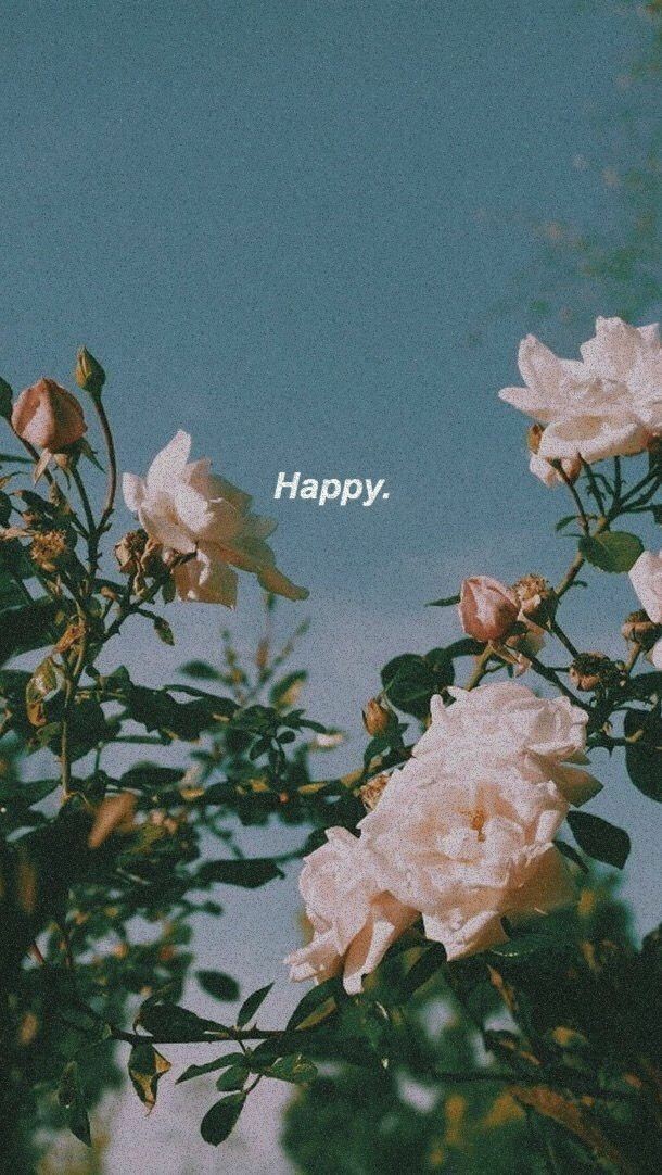 avokadonisom's tweet photo. Günün serisi gelsin o zamann
Duvar Kağıdı serisi 5 : Çiçekler🌻🌹
#duvarkağıdı #çiçek #gül #ayçiçeği #wallpaper #nbfc #nbfcplus https://t.co/g5RvxAZk5n