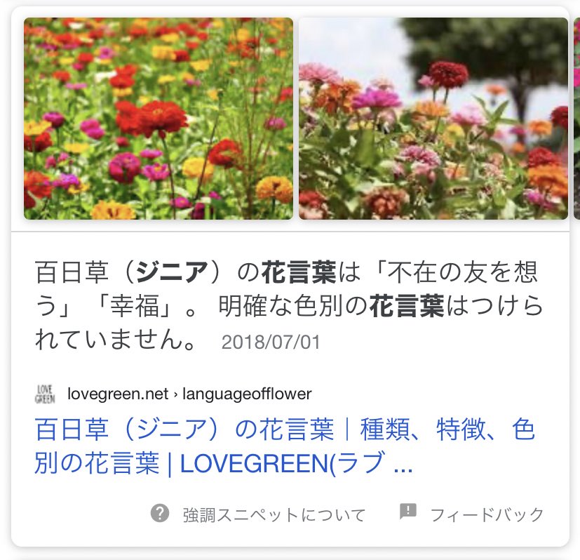 こみゅ Jillコラボの卯木千景君の色 Love Zinnia ですがジニアの花言葉やばくないか T Co L91l5vuewn Twitter