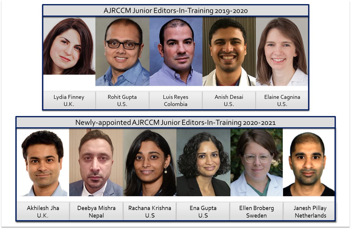 James P Allinson tweet media