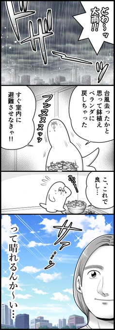 気まぐれお天気に翻弄される日々(計2枚です) 