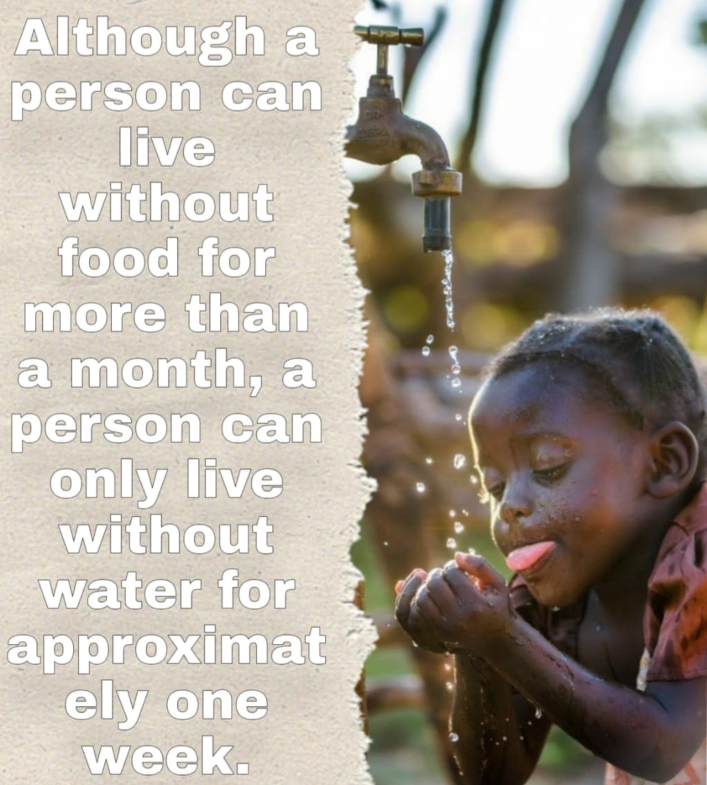 letwaterlive's tweet photo. Although a person can live without food for more a month, but a person cannot live without water for approximately one week.
Water is very essential for life don't waste it.
support us spreading the awareness and be the part of #letwaterlive community. https://t.co/bYk4cIF9Nq