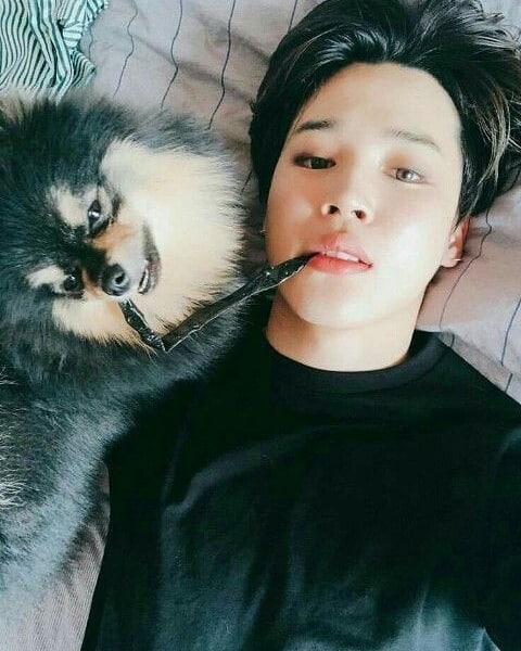KookNourane's tweet photo. Happy birthday our yeontan https://t.co/VgM67xj3hV