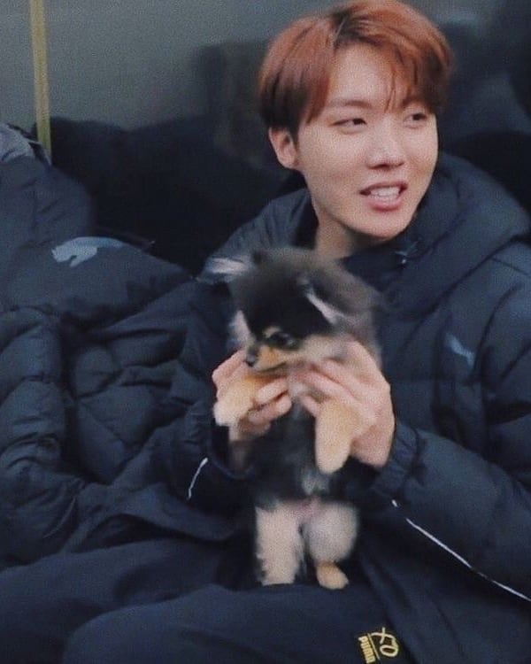 KookNourane's tweet photo. Happy birthday our yeontan https://t.co/VgM67xj3hV