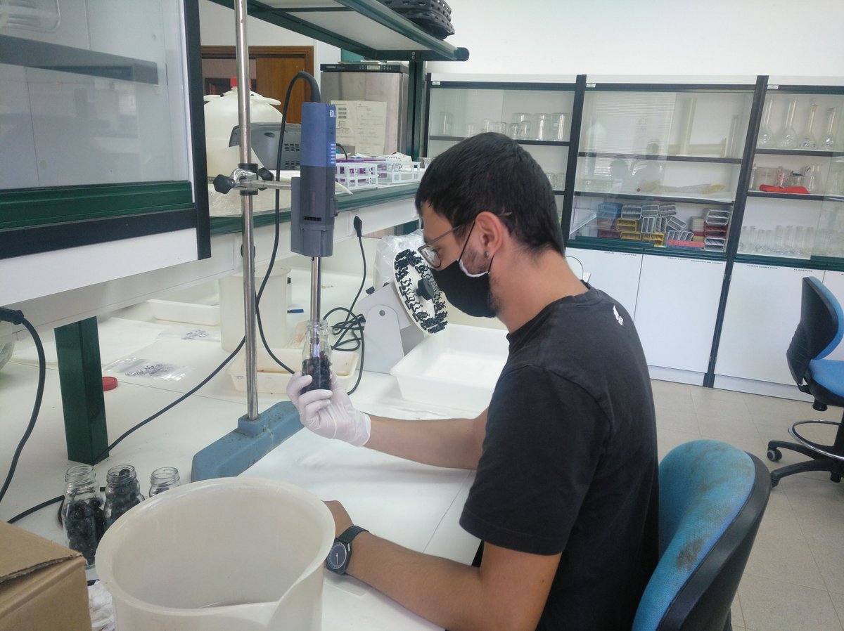 IviaRiegos's tweet photo. Y después del muestreo de uva🍇al 100% de envero del proyecto #InnoBobal🌄 toca análisis de calidad tecnológica y fenólica👩🔬 buscando👀posibles diferencias entre pautas de manejo del riego💦
#TransferenciaReal @GVAivia @GVAagroambient @DOUtielRequena @CoopsAgroCV @visualNACert https://t.co/ufy1V80URb