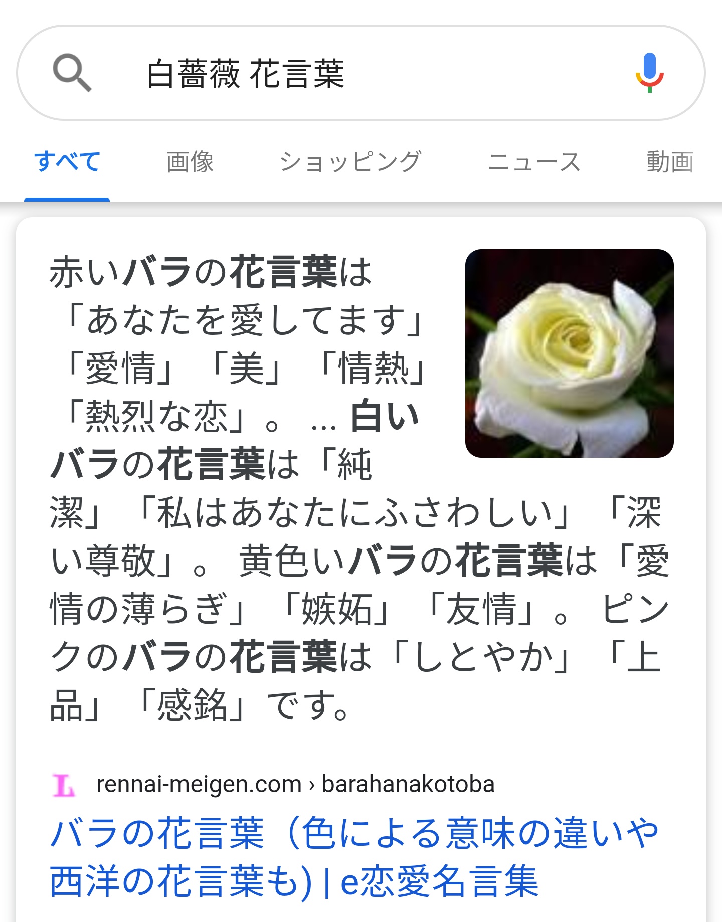 つばくろ 十座さんの Bolero って花なら白薔薇なんだけど白薔薇の花言葉 は 私はあなたにふさわしい だし去年のbdイラスト104だけ背景に白薔薇あったんよな T Co Bkoqsu76lq Twitter