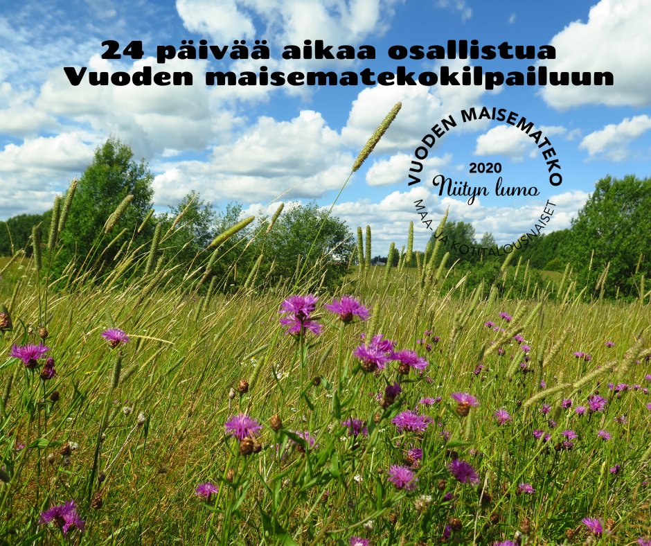 auli_hirvonen's tweet photo. Niittyjen hoitaja, tässä sinulle linkki. Täytä lomake ja osallistu kilpaan. https://t.co/XBh1PK3kGB #niitynlumo #luonnonmonimuotoisuus #kulttuuriperintö #MKNmaisema #vuodenmaisemateko https://t.co/fvG06byjEh