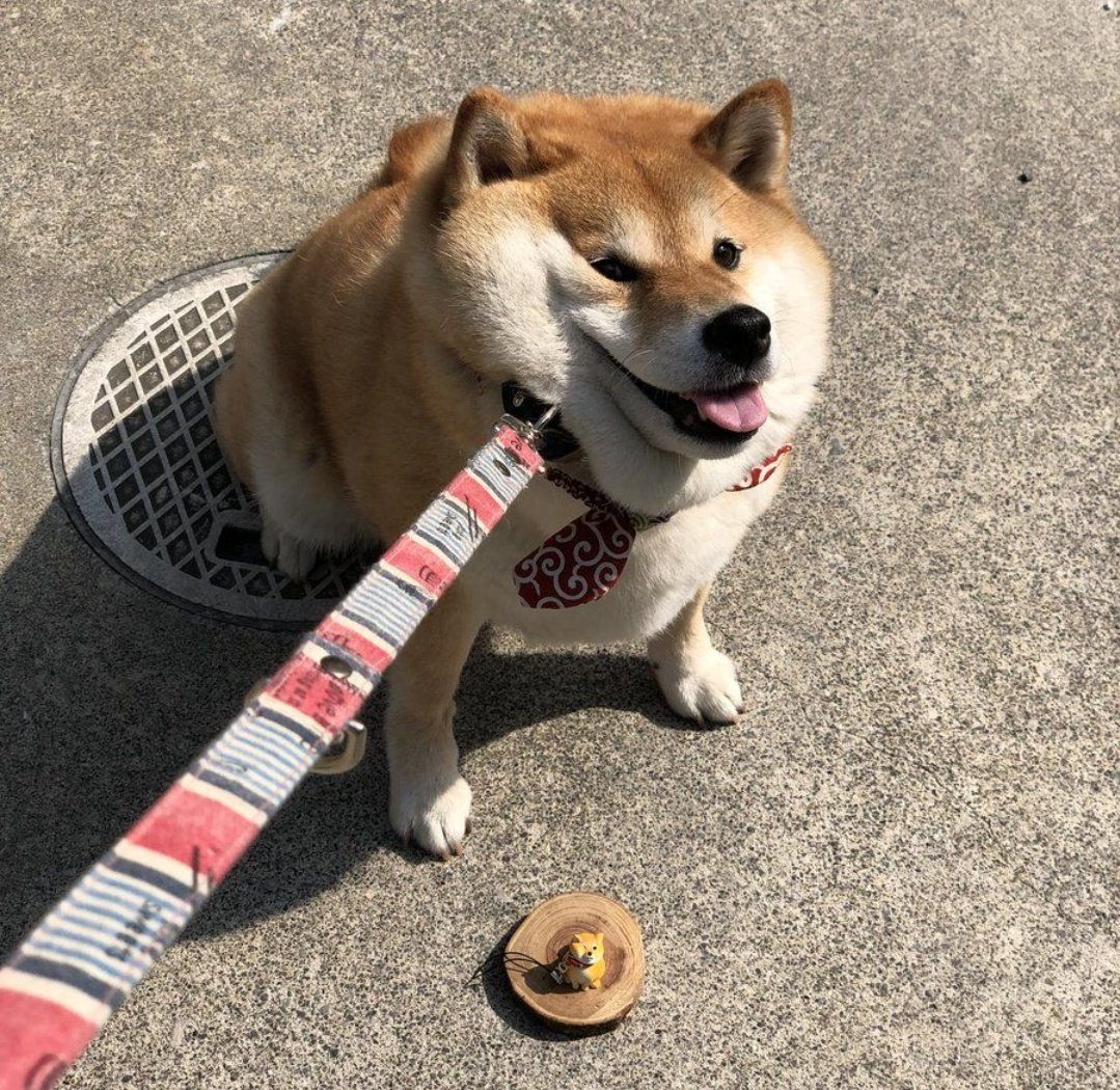 大喜利学園大学 今日の夜のお題 写真で一言お願いします 大喜利 お題 お題箱 面白ネタ 拡散希望 写真で大喜利 写真で一言 写真でボケて ボケて ぼけて Bokete ネタ ネタ箱 T Co Dyliea4uky Twitter