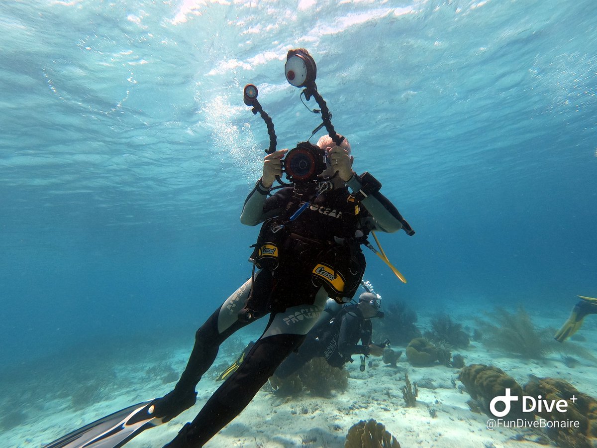 Yamapama's tweet photo. 100e duik! Op naar de 200!

#Duiken #FunDiveMovie #Bonaire @FunDiveBonaire @PADI @NOB_Duiken https://t.co/XIrjtO2FUO