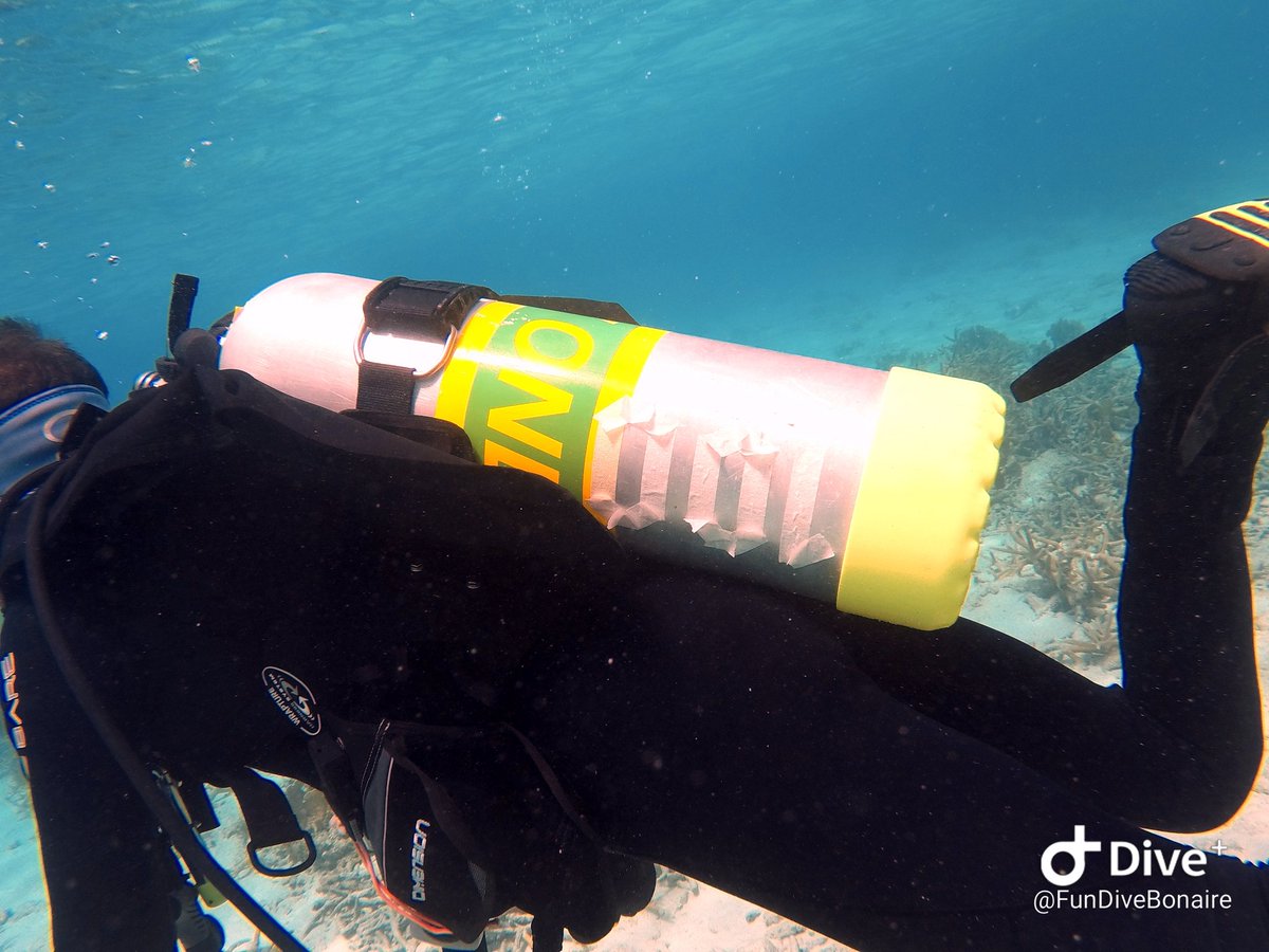 Yamapama's tweet photo. 100e duik! Op naar de 200!

#Duiken #FunDiveMovie #Bonaire @FunDiveBonaire @PADI @NOB_Duiken https://t.co/XIrjtO2FUO