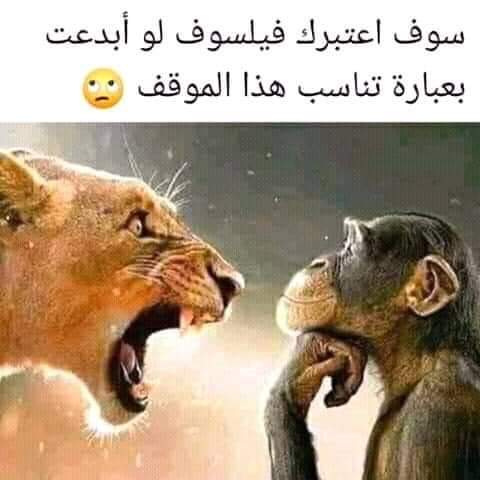 لا تخاف العواقب ما دمت على حق
ولا تهاب الاحداث ما دمت بنفسك واثق