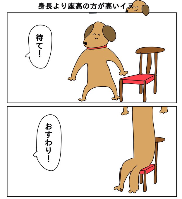 身長より座高の方が高いイヌ 