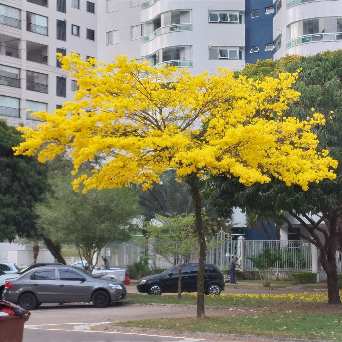 Viva o Brasil e seu povo!!! #7deSetembro #Brasil https://t.co/lBm63LgRJf