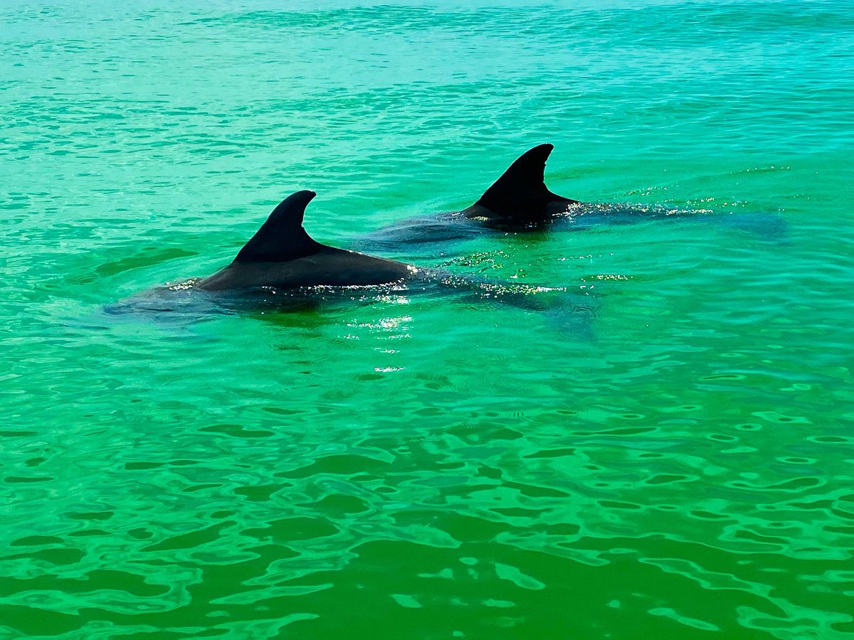 SamMaroon's tweet image. Long Boat Key