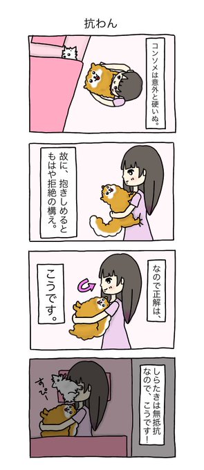 抗わん #コンしら 