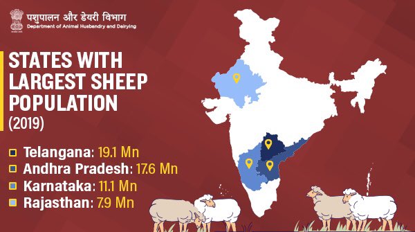 20వ Livestock అధికార గణాంకాల ప్రకారం 48.51% వృద్ధిరేటుతో గొఱ్ఱెల సంపదలో తెలంగాణ రాష్ట్రం దేశంలోనే మొదటి స్థానంలో ఉంది. తెలంగాణలో ఉన్న ప్రస్థుత గొఱ్ఱెల సంఖ్య 19.1 Mn.

కేసిఆర్ గారి దార్శనికతకు ఇదొక చిన్న ఉదాహరణ మాత్రమే!🤩
#Telangana #SheepPopulation 
#AnimalWealth #livestock