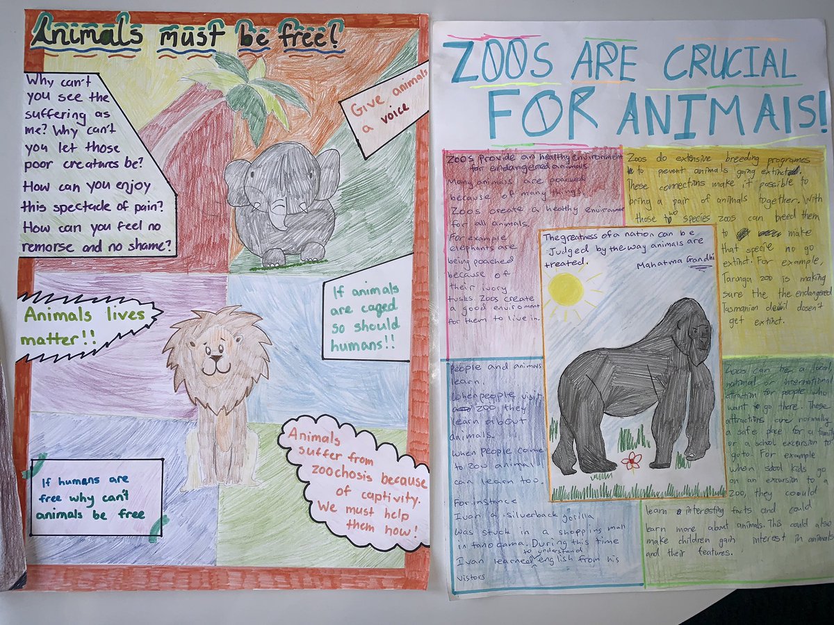 Should Animals Be Kept in Zoos? Mixed opinions in 6/5S but equally convincing viewpoints! 🐨🦁🐯🐸🐷🐵 #PersuasivePosters