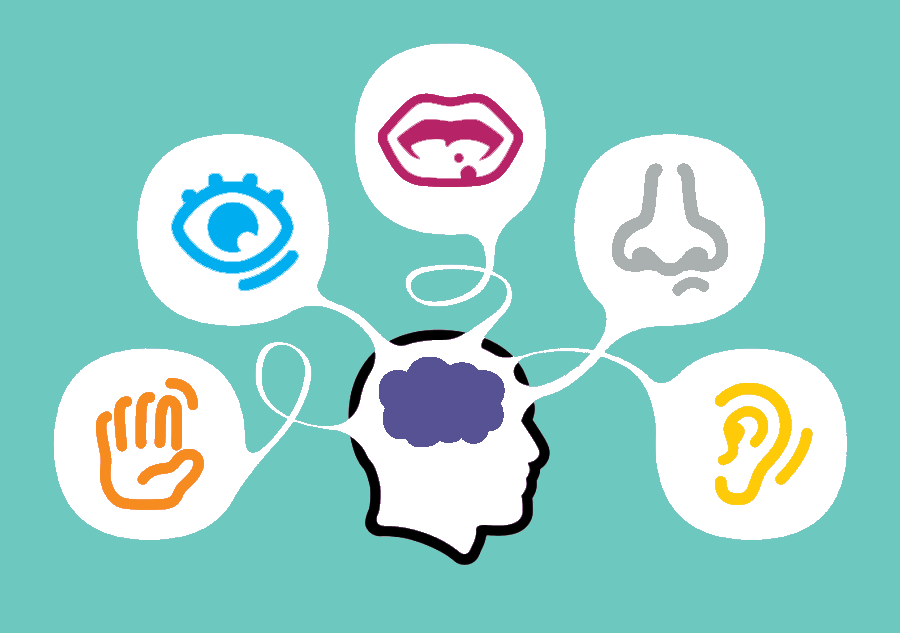 Pactiv8's tweet photo. Have you ever considered how elements such as  the #feel and #smell of a packaged product could influence your buying habits?
We take a look at the effectiveness of Multi-Sensory #Packaging 👀

https://t.co/Ip3xJQuEgh https://t.co/AJIz558R3P