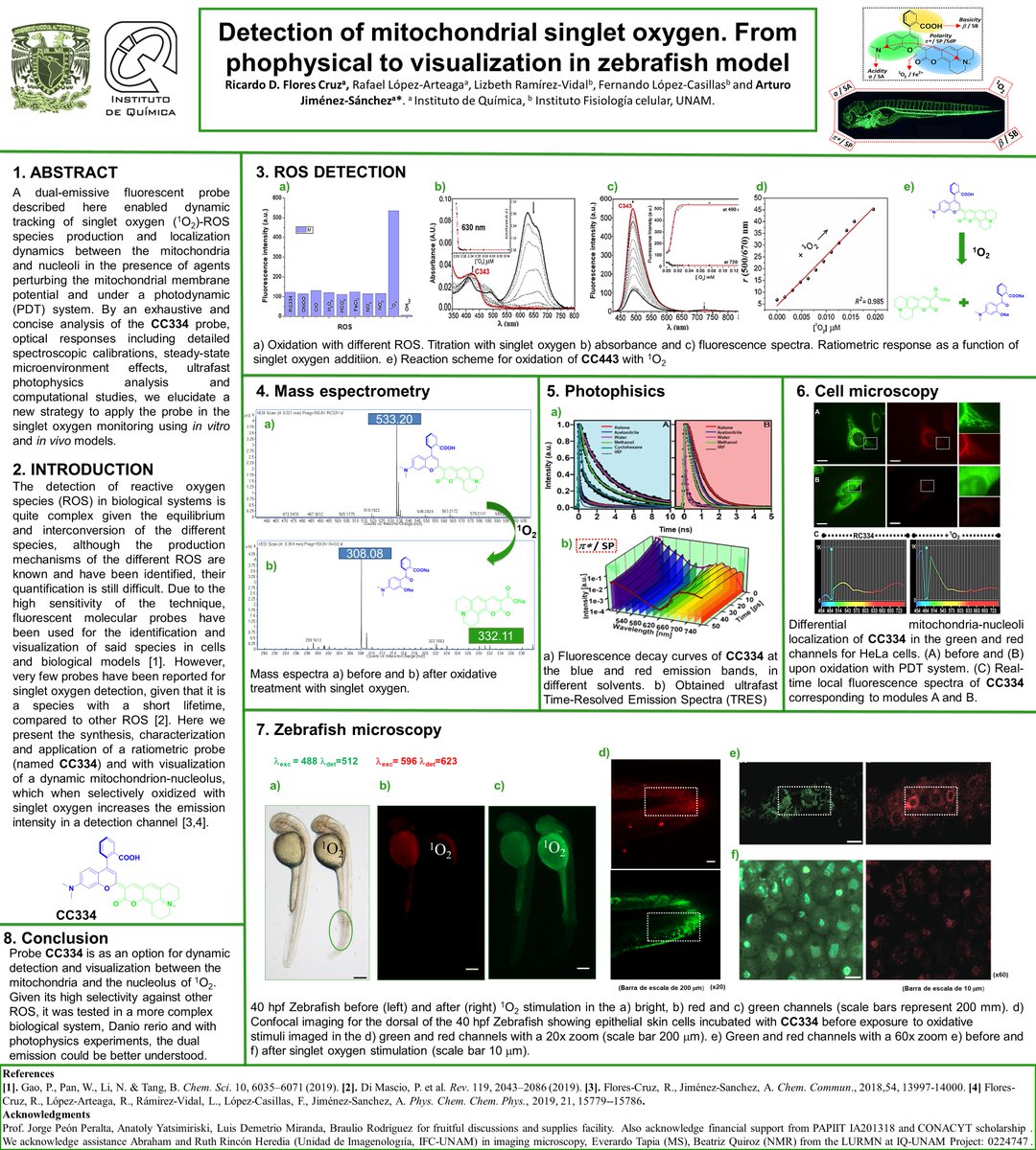 Richard47981678's tweet photo. Hello @LatinXChem, this is my work โDetection of mitochondrial singlet oxygen. From phophysical to visualization in zebrafish modelโ, #LatinXChem #LatinXChemOrg #OC101 #Fluorescentprobes #singletoxygen #ROS #mitochondrial #nucleoli #ratiometricprobes #Zebrafish #TCSPC. https://t.co/YfRXNDNTXI