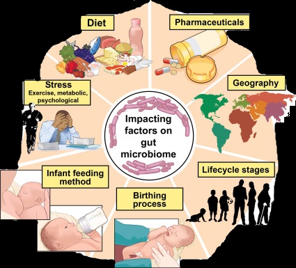 Tradmedtalks's tweet photo. #Diet, #nutrition profound effects on gut #microbiome
 bi-directional relationship between nutrition and gut microbiome emerges as conducted on how microbiota utilize macro and micro nutrients, protein promotes #microbial #protein metabolism &amp; harmful byproducts that sit in gut https://t.co/0ls3WUEP4R