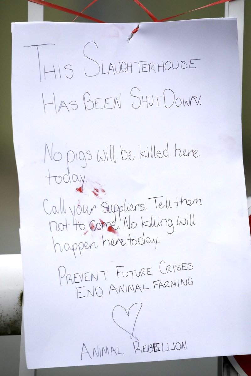 AnimalRising's tweet photo. It’s now been over 8 hours since our rebels blockaded the entrance to Tulip slaughterhouse. Still we will not waver in the face of injustice ✊

We will not let this industry exploit animals, workers and the planet.

#AnimalRebellion #ExtinctionRebellion #COVID19 #AnimalJustice https://t.co/30yvdNm49k