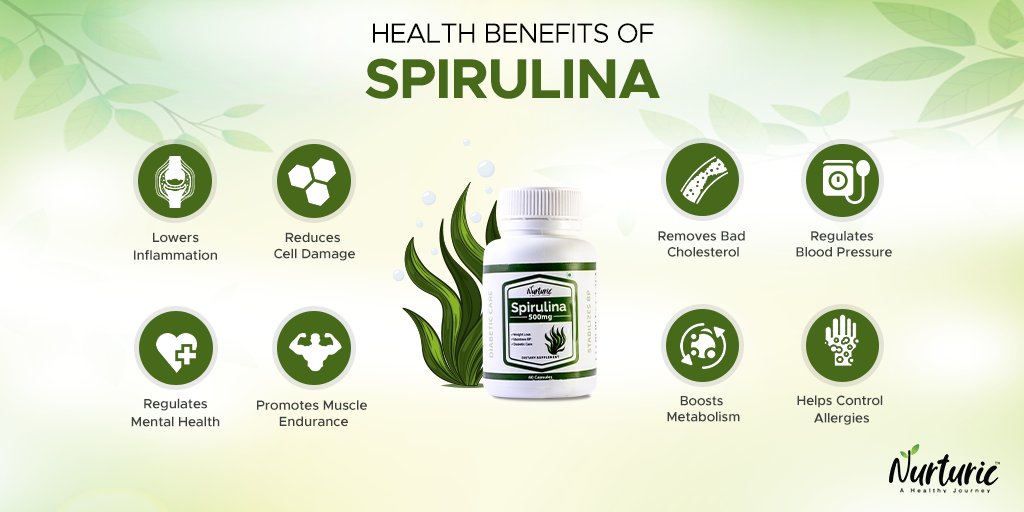 Do you know Spirulina is the world's first superfood?

In 1974, the united nations declared Spirulina as the number one food to distribute among the malnourished communities. Know more here!

#nurturic #spirulinabenefits #wellness #mentalhealth #badcholestrol #healthy #natural