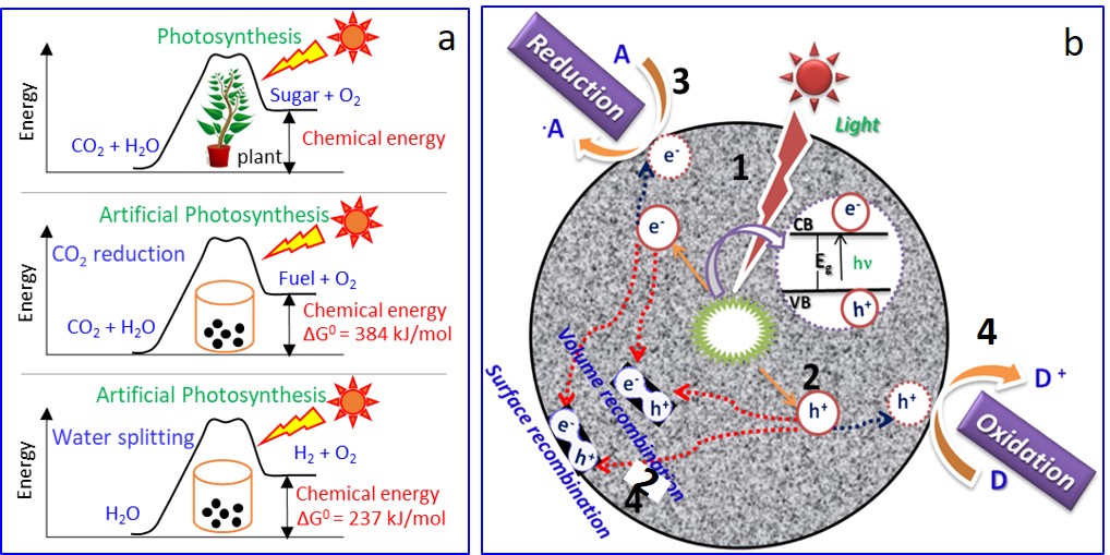 Santosh Kumar Biradar, PhD, FHEA, MRSC (@biradarsantosh) on Twitter photo If you are interested in understanding the state-of-art on Photocatalytic Materials for Solar Fuel Production, do read our latest book chapter in Energy and Environment Series <a href="/RoySocChem/">Royal Society of Chemistry</a> <a href="/EslavaGroup/">Eslava Group</a> <a href="/miriam_regue/">Miriam Regue</a>
pubs.rsc.org/en/content/cha… If you are interested in understanding the state-of-art on Photocatalytic Materials for Solar Fuel Production, do read our latest book chapter in Energy and Environment Series <a href="/RoySocChem/">Royal Society of Chemistry</a> <a href="/EslavaGroup/">Eslava Group</a> <a href="/miriam_regue/">Miriam Regue</a>
pubs.rsc.org/en/content/cha…
