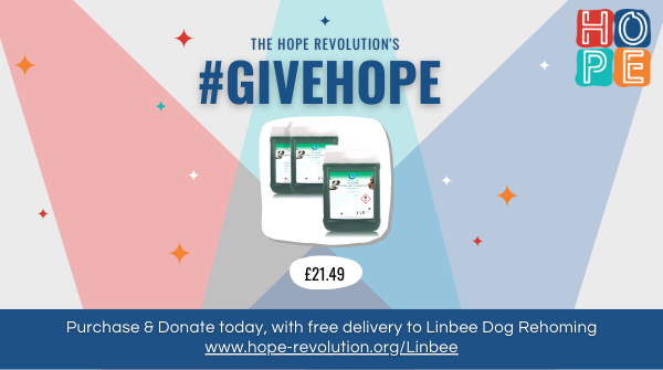 givetodayuk's tweet photo. Kennel disinfectant isn't a fun donation, but if you buy these 3 large bottles for @LinbeeDogs, it will help keep the kennels hygienic &amp; fresh for lovely #RescueDogs.

Purchase &amp; donate these today, &amp; we'll send it to them this week! 
Visit https://t.co/5330FONMGt to #GiveHope https://t.co/nsqLAnjR1S